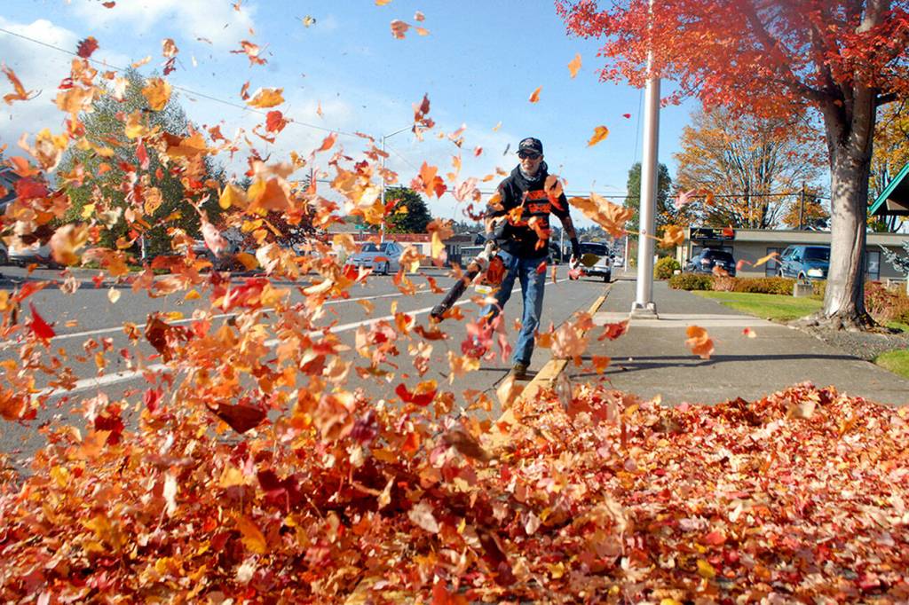 While leaf blowers are used in autumn, there are some efforts to ban these devices. (Black Press Media file photo)